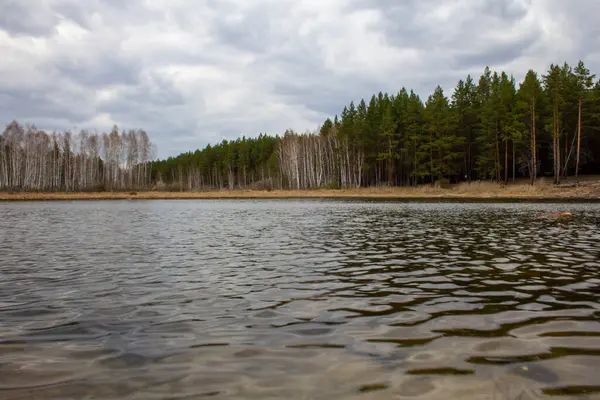 Lago Tranquilo Medio Del Bosque Pinos Los Urales Superficie Agua —  Fotos de Stock