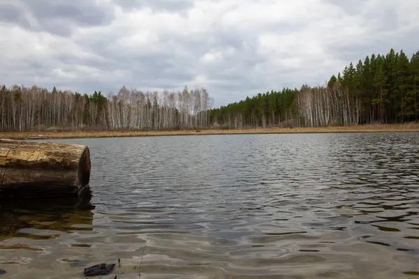 Spokojne Jezioro Środku Uralskiego Lasu Sosnowego Spokojna Powierzchnia Wody Sosny — Zdjęcie stockowe