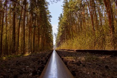 Ormandaki demiryolu kolu. Ormanın derinliklerinde terk edilmiş demiryolu hattı. Uykuda kuru yapraklar