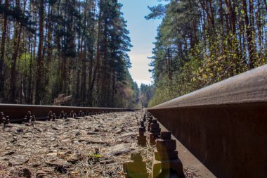 Ormandaki demiryolu kolu. Ormanın derinliklerinde terk edilmiş demiryolu hattı. Uykuda kuru yapraklar