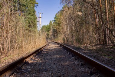Ormandaki demiryolu kolu. Ormanın derinliklerinde terk edilmiş demiryolu hattı. Uykuda kuru yapraklar