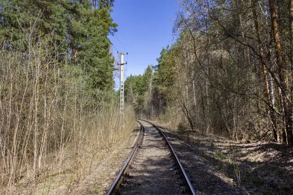 Ramo Ferroviário Floresta Linha Ferroviária Abandonada Fundo Floresta Folhas Secas — Fotografia de Stock