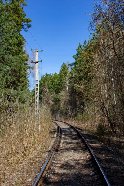 Spoorwegtak Het Bos Verlaten Spoorlijn Diep Het Bos Droge Bladeren — Stockfoto