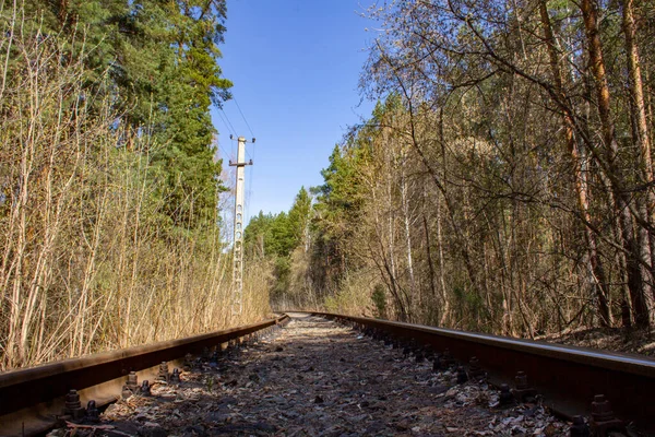 Järnvägsavdelning Skogen Övergiven Järnvägslinje Djupt Inne Skogen Torra Blad Sliprar — Stockfoto