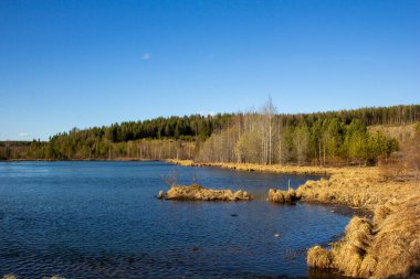 Urallar 'da büyük bir kariyerin güzelliği. Çam ağaçları kayalık bir taş ocağının ocaklarında, maden ocaklarında ve dipteki suda yetişir. Kırmızımsı taşlar
