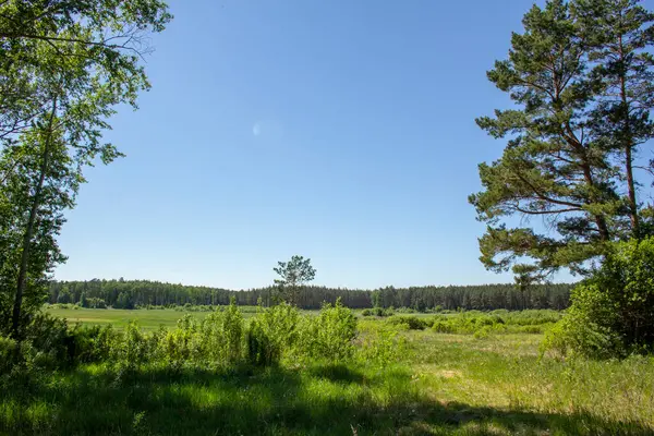 Sommer Ural Landschaft Grüne Bäume Und Gras Blauer Himmel Und — Stockfoto