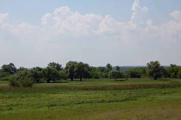 Landschap Natuur Veld Bos Bergen Rusland Weg Reis Open Ruimten — Stockfoto