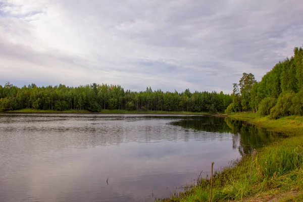 Sibirische Flusslandschaft Sommer Bunte Landschaft Ufer Eines Stausees Sibirien — Stockfoto