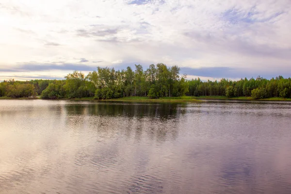 Sibirische Flusslandschaft Sommer Bunte Landschaft Ufer Eines Stausees Sibirien — Stockfoto