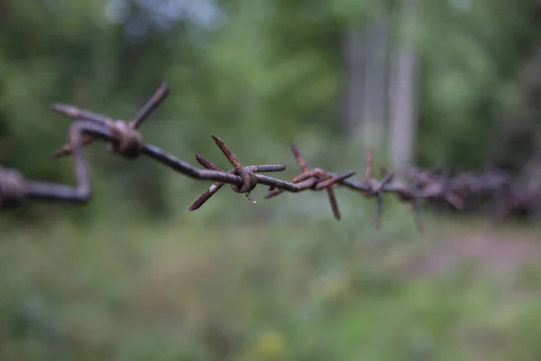 Benachrichtigtes Ortsschild Schildern Sie Sperrgebiet Kein Einlass Hängt Stacheldrahtzaun Wald — Stockfoto