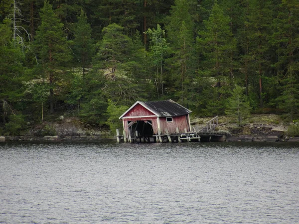 湖畔のみすぼらしい赤いボートハウスと松の木が背景にあります — ストック写真