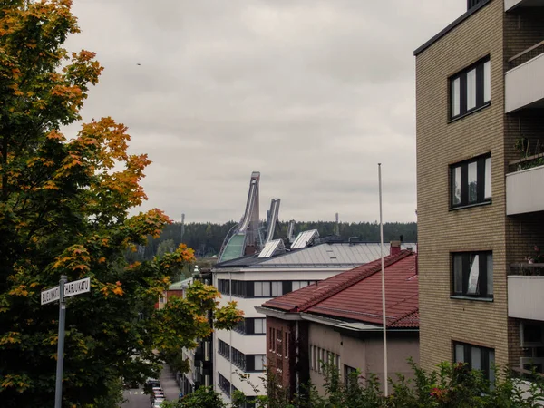 Dairelerin arkasında kayak tepeleri ve gri gökyüzü olan ağaçlar..