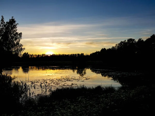 Pôr Sol Refletindo Uma Lagoa Parque Com Silhuetas Árvore — Fotografia de Stock