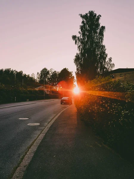 Ağaçların, evlerin, yolların ve park halindeki arabaların arasından güneş batıyor..
