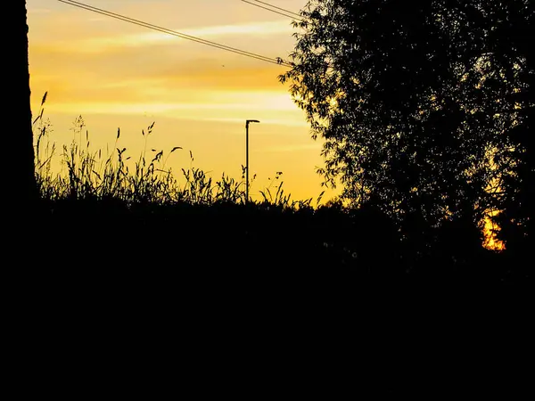 Gelber Sonnenuntergang Mit Schwarzen Silhouetten Von Bäumen Gras Und Einem — Stockfoto