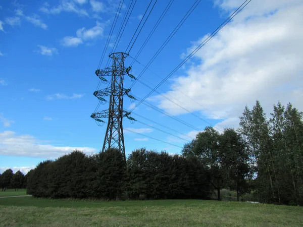 Linhas Eléctricas Árvores Relva Disparadas Contra Céu Azul Parcialmente Nublado — Fotografia de Stock
