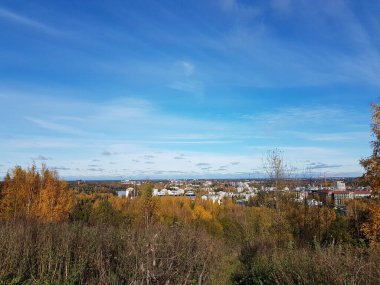 Önünde ağaçlar olan bir tepeden şehir manzarası ve arkasında da bulutlu güzel mavi gökyüzü olan binalar..