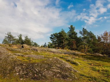 Çoğunlukla bulutlu gökyüzü olan bir parkta kayalar, ağaçlar, çimenler ve yosunlar.