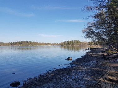 Güneşli bir yaz gününde plaj manzarası.
