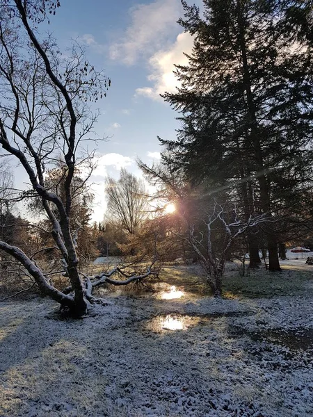 Winter Morning Sun Reflecting Frozen Puddles Snowy Ground — Stock Photo, Image