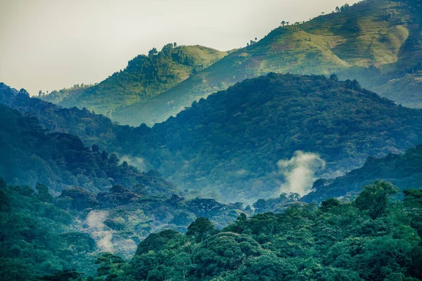 Csodálatos Zöld Természet Oegandában — Stock Fotó