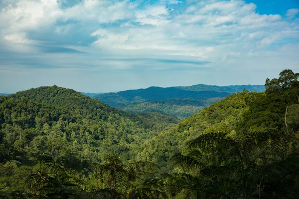 Increíble Naturaleza Verde Oeganda —  Fotos de Stock