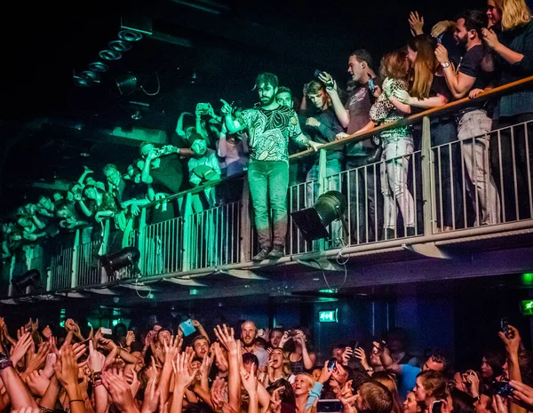 Fohlen Bei Musikfestival Auf Der Bühne — Stockfoto