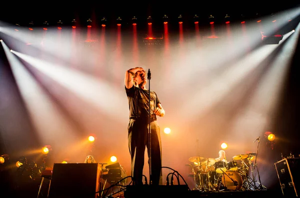 Waschbär Tritt Während Musikfestival Auf Der Bühne Auf — Stockfoto