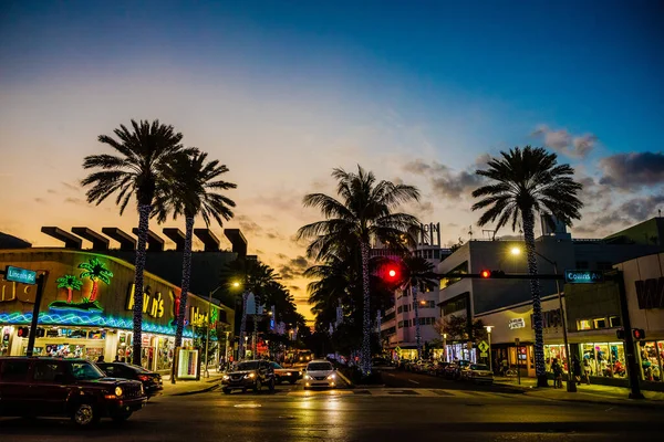 Palm Trees Buildings Miami Beach — Stock Photo, Image