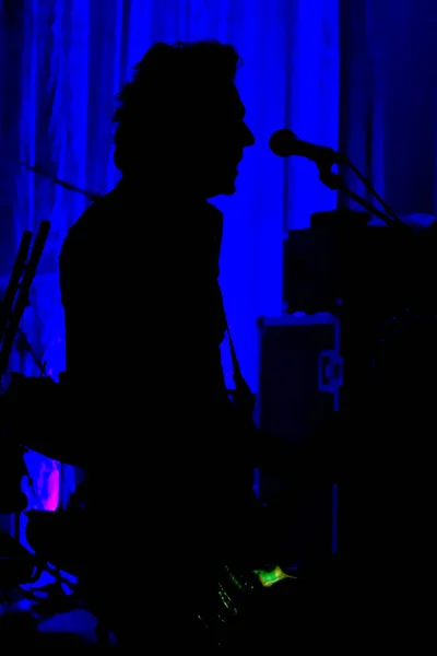 Deus Vystupující Pódiu Během Hudebního Koncertu — Stock fotografie