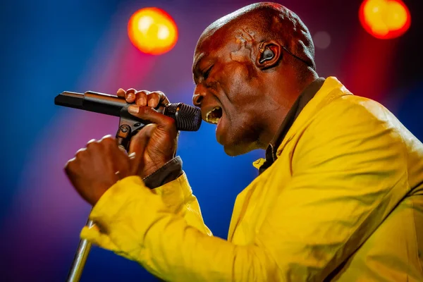 Seal Performing Stage Music Concert — Stock Photo, Image