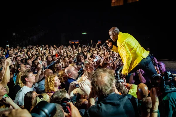 Sello Actuando Escenario Durante Concierto Música — Foto de Stock