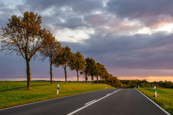 Pintoresco Camino Con Una Hilera Árboles Una Túnica Otoño Los — Foto de Stock