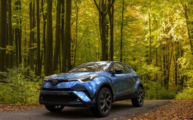 Melez Toyota C-HR arazi aracı Güz Ormanı 'ndan geçen bir yol üzerinde.
