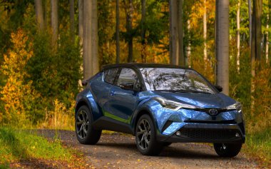 Melez Toyota C-HR arazi aracı Güz Ormanı 'ndan geçen bir yol üzerinde.