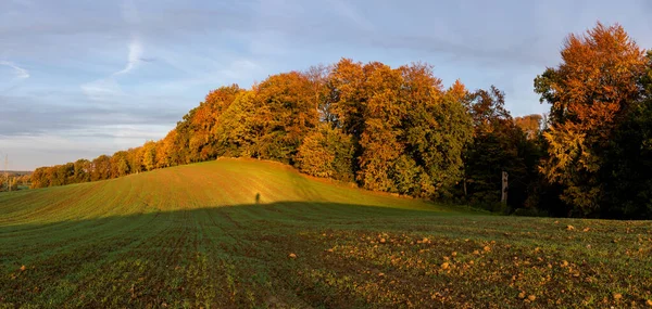 Panorama Champ Vert Avec Une Forêt Automne Arrière Plan — Photo