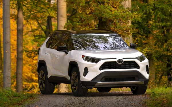 Toyota RAV 4 Hybrid Modern SUV Sonbahar Ormanı yolunda