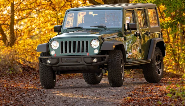 Jeep Wrangler Řízení Lesní Cesty — Stock fotografie