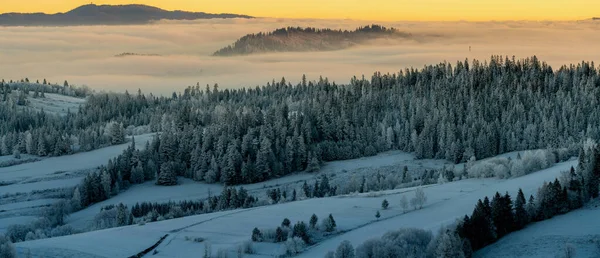 Vacker Utsikt Över Bergslandskapet Härlig Frostig Och Dimmig Soluppgång — Stockfoto