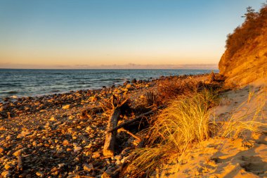 Polonya 'nın Baltık sahillerinde güzel bir gün batımı