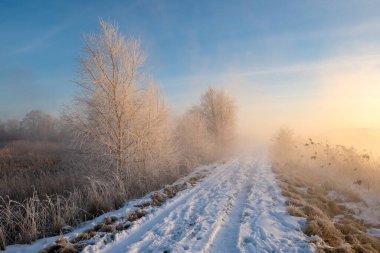 Soğuk, sisli gündoğumunda göller arasındaki hendeğe giden yol.