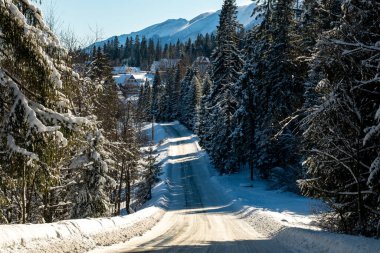 Kış manzaralı manzaralı dağ yolu