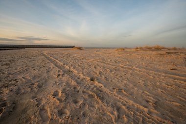 Plajda giden bir off-road arabasının lastik izleri.