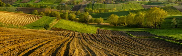 Belos Campos Ondulantes Região Ponidzie Polonesa Primavera — Fotografia de Stock