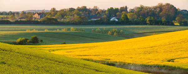 Panorama Fields Situated Undulating Hills Reminiscent Landscape Italian Tuscany — Stock Photo, Image