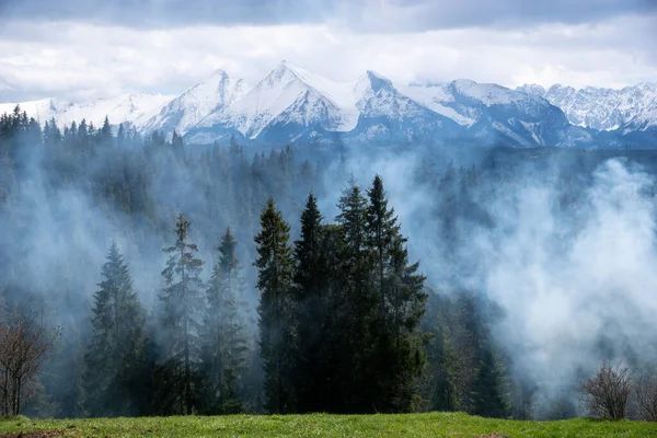 Skogsbrand Fjällen — Stockfoto