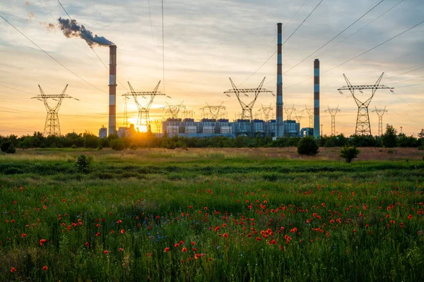 大規模な石炭火力発電所の前の牧草地にポピーを咲かせる — ストック写真