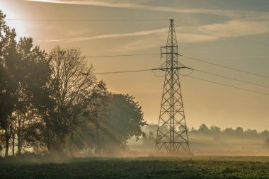 Puslu bir gündoğumunda tarlada yüksek voltajlı bir pilon.