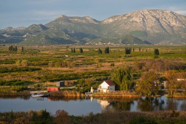 Hırvatistan 'daki verimli Neretva Deltası