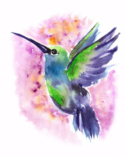 Colibri Aquarelle Illustration Artistique Dessinée Main Sur Fond Coloré — Photo